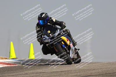 media/Aug-03-2025-TrackDaz (Sun) [[bf4a71acf9]]/C Group/1140am (Grapevine)/